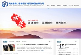 钟山区城市开发投资集团有限公司